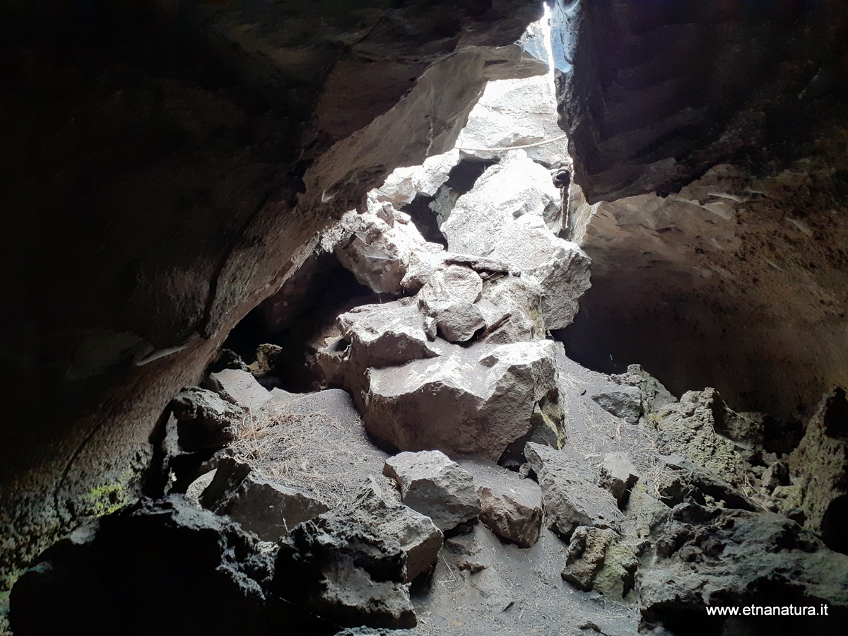 Grotta Acqua Vitale-Numero visite:32600