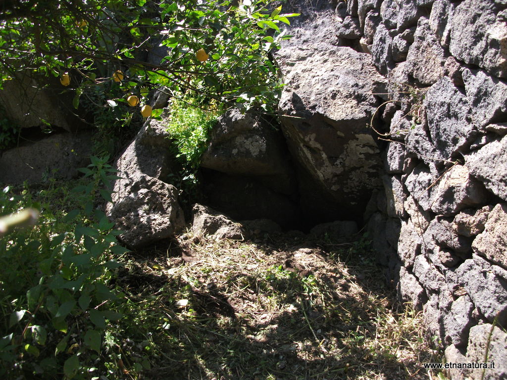 Grotta Giuffrida-Numero visite:30733