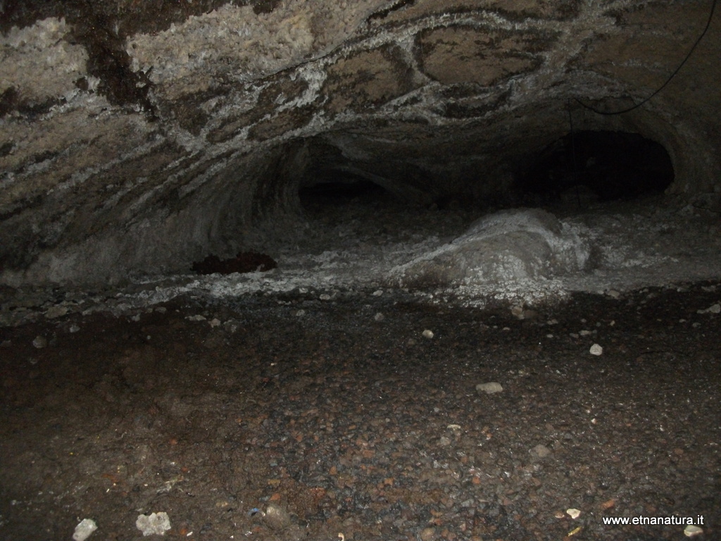 Grotta Petralia-Numero visite:34861