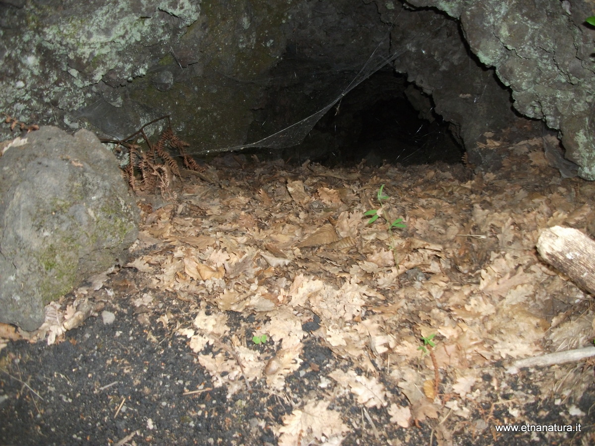 Grotta Pietrabuca-Numero visite:4019