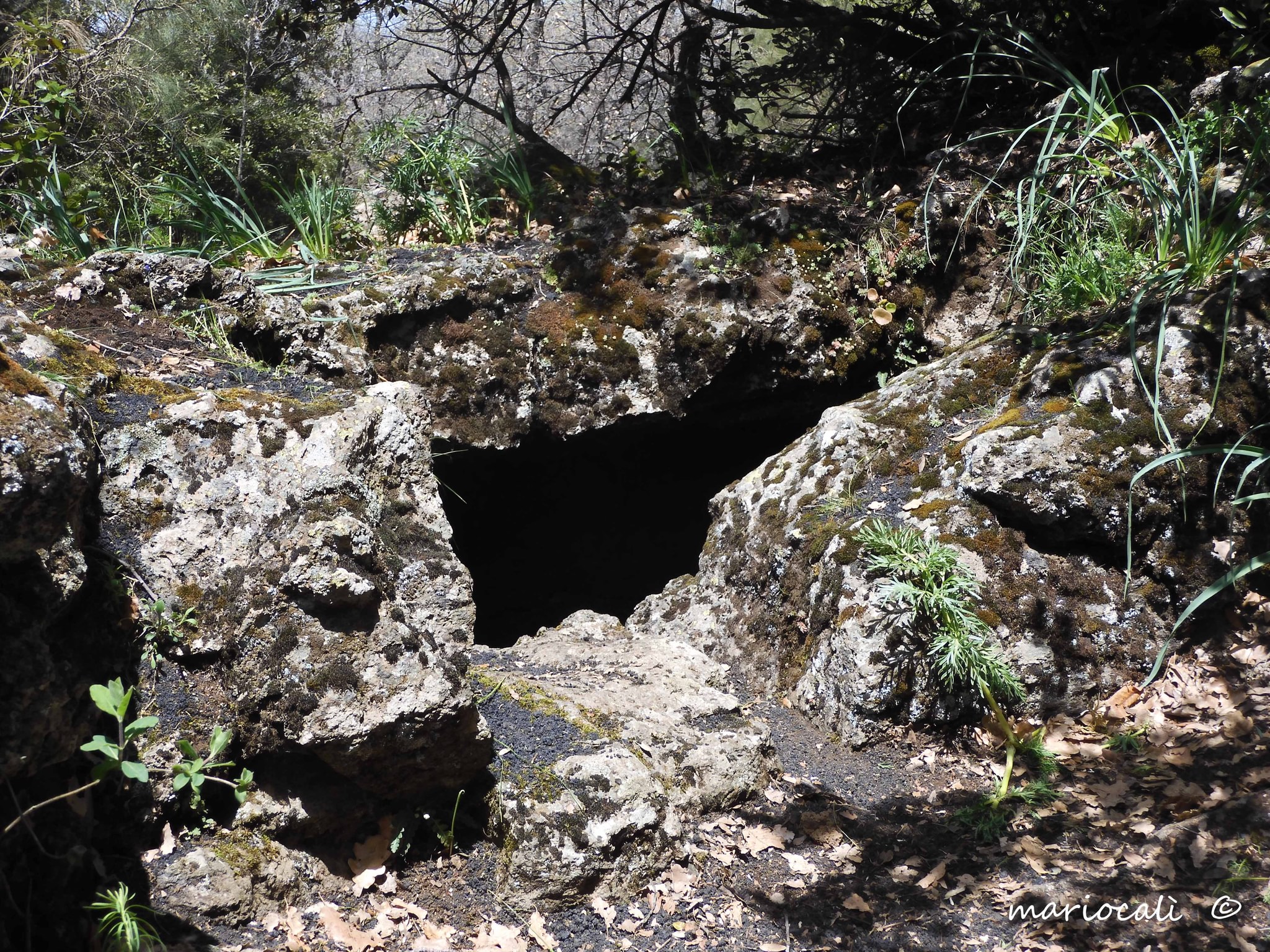 Grotta del Cernaro-Numero visite:895