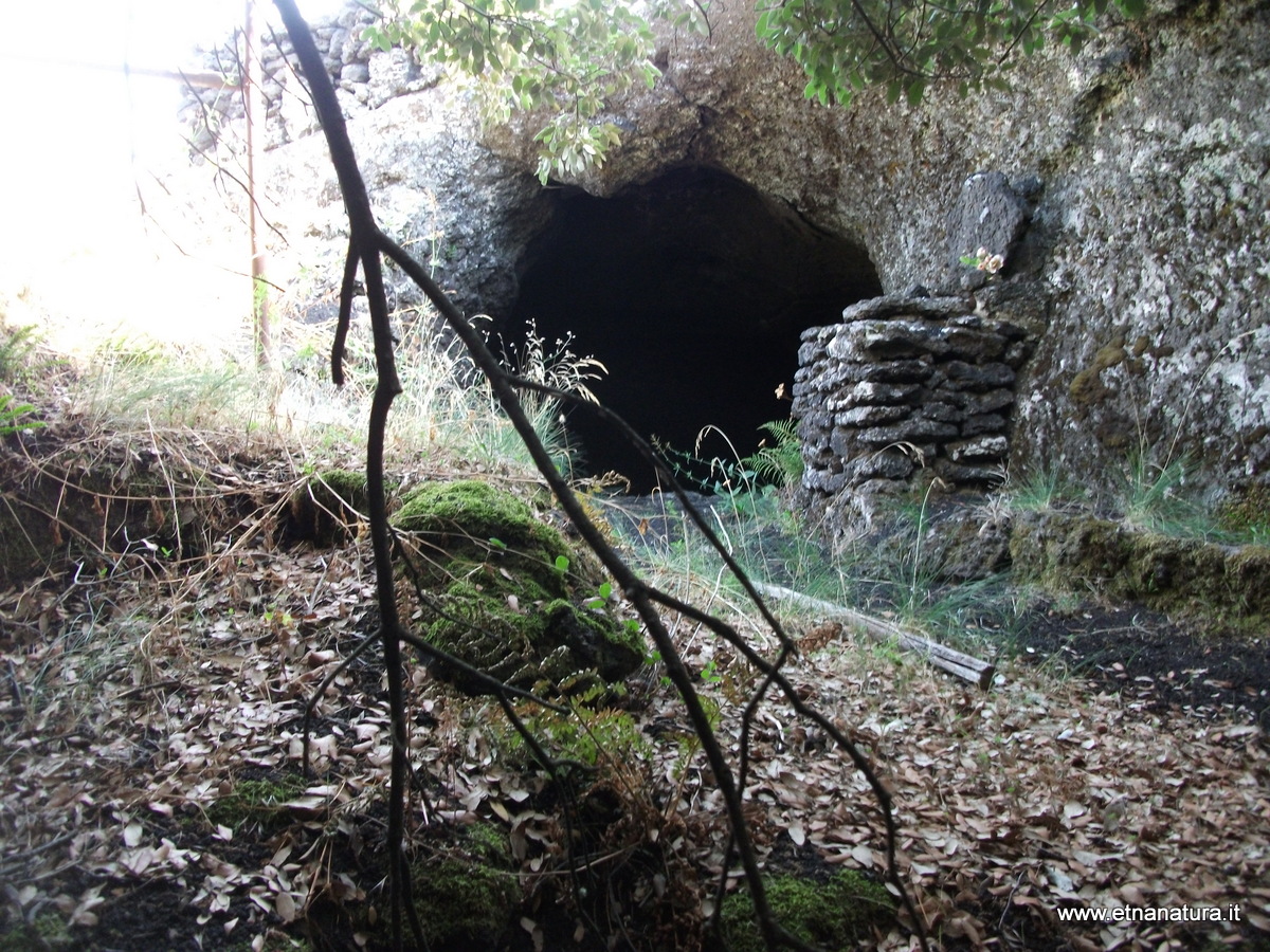 Grotta monte Arcimis-Numero visite:33943