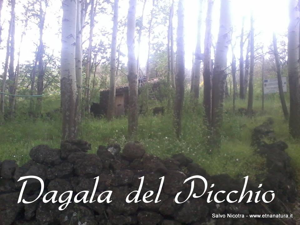 Dagala del Picchio