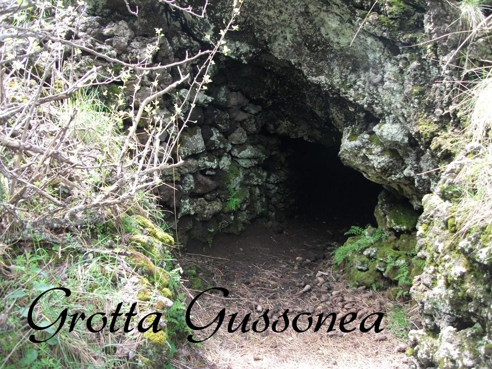 Grotta Gussonea