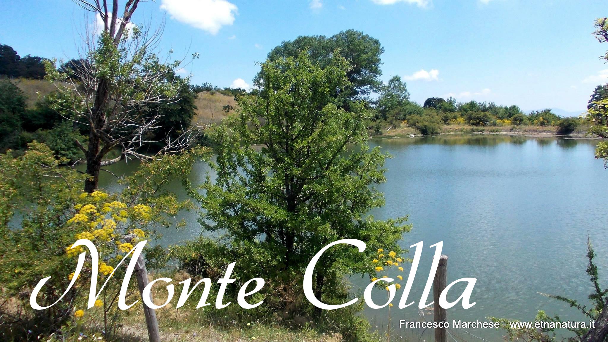 Monte Colla