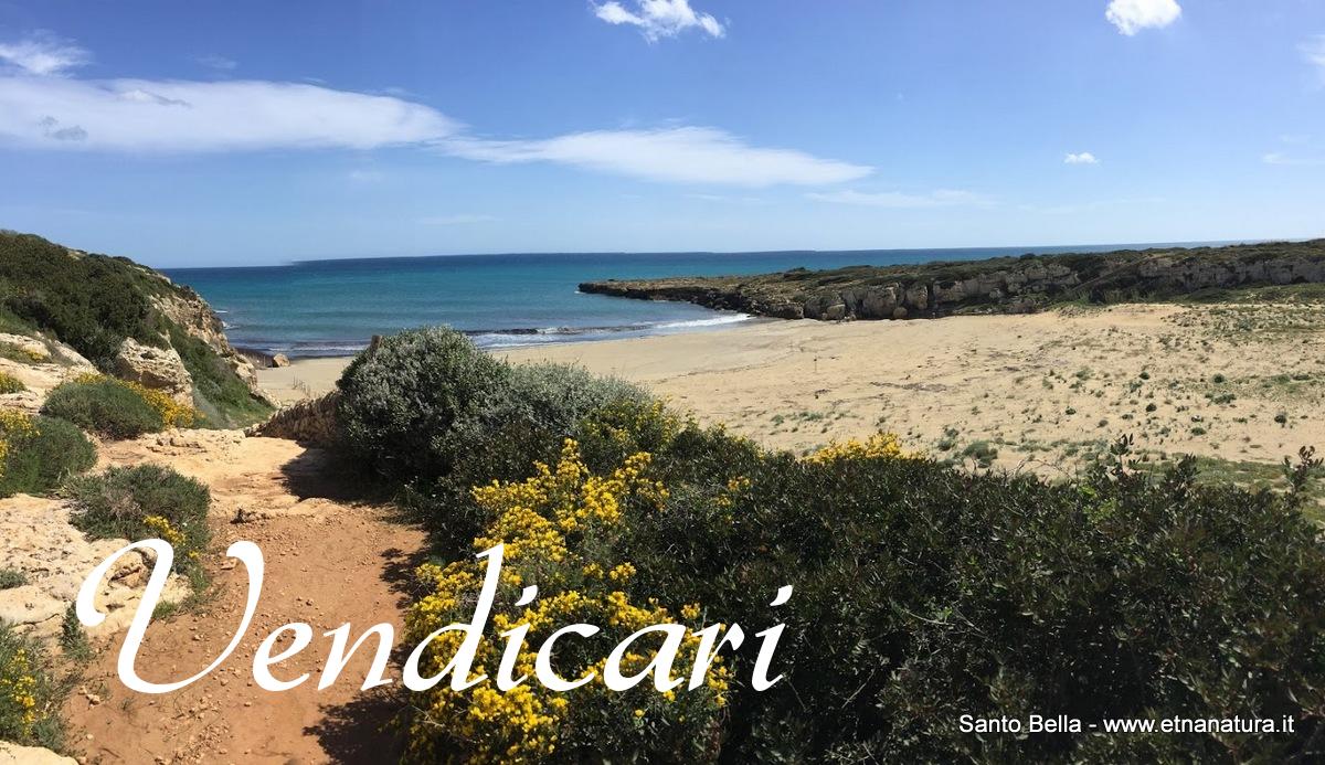 Vendicari