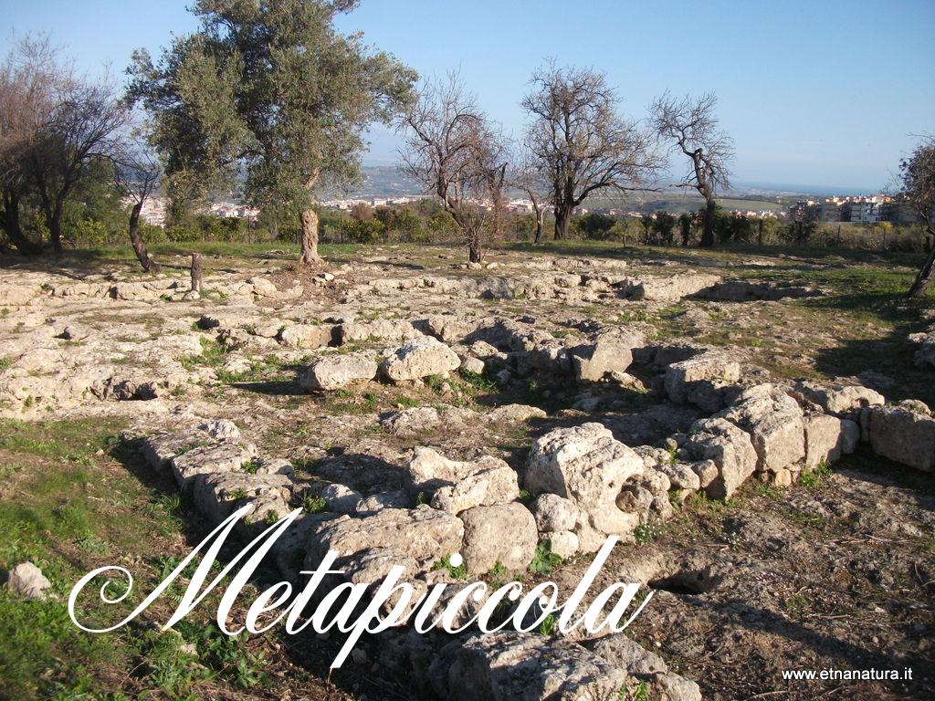 Metapiccola