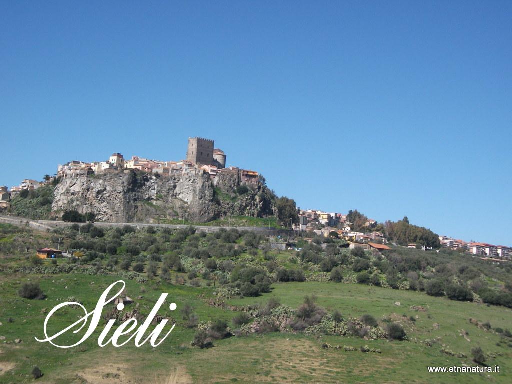Sieli