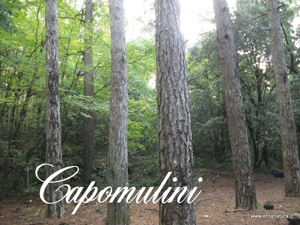 Capomulini