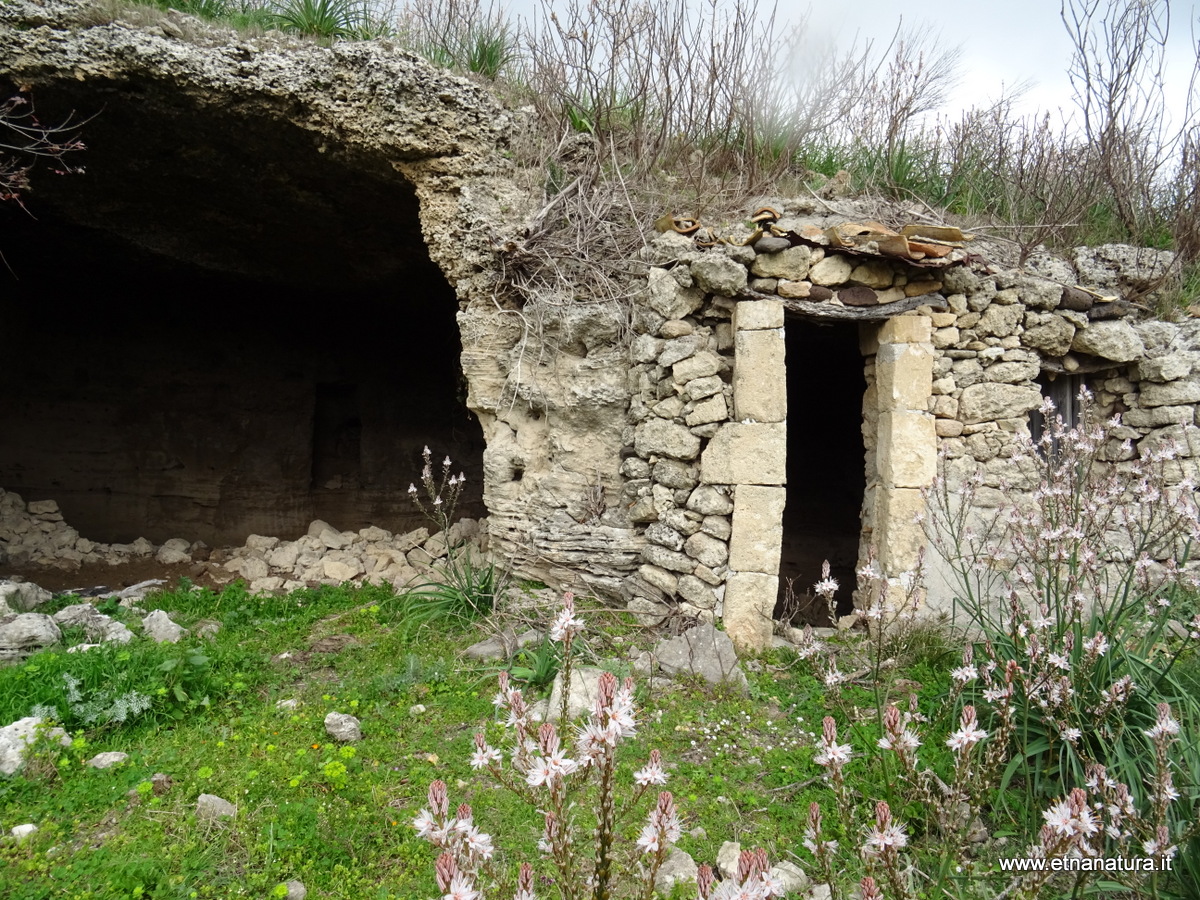 Necropoli Ossena-Numero visite:12951